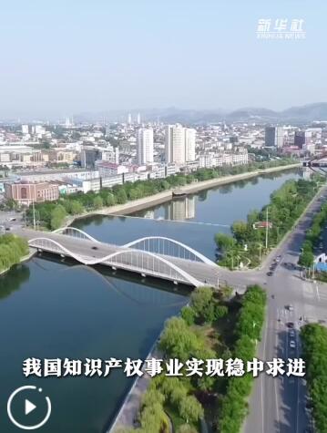  数览成绩单·2025新成就丨创新活力涌动，知识产权效益加速显现