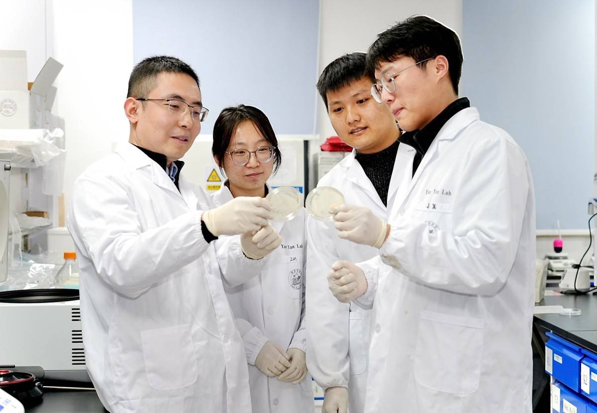 华农团队携手美国学者 在《自然》杂志揭示肺癌中“善变”细胞的关键作用