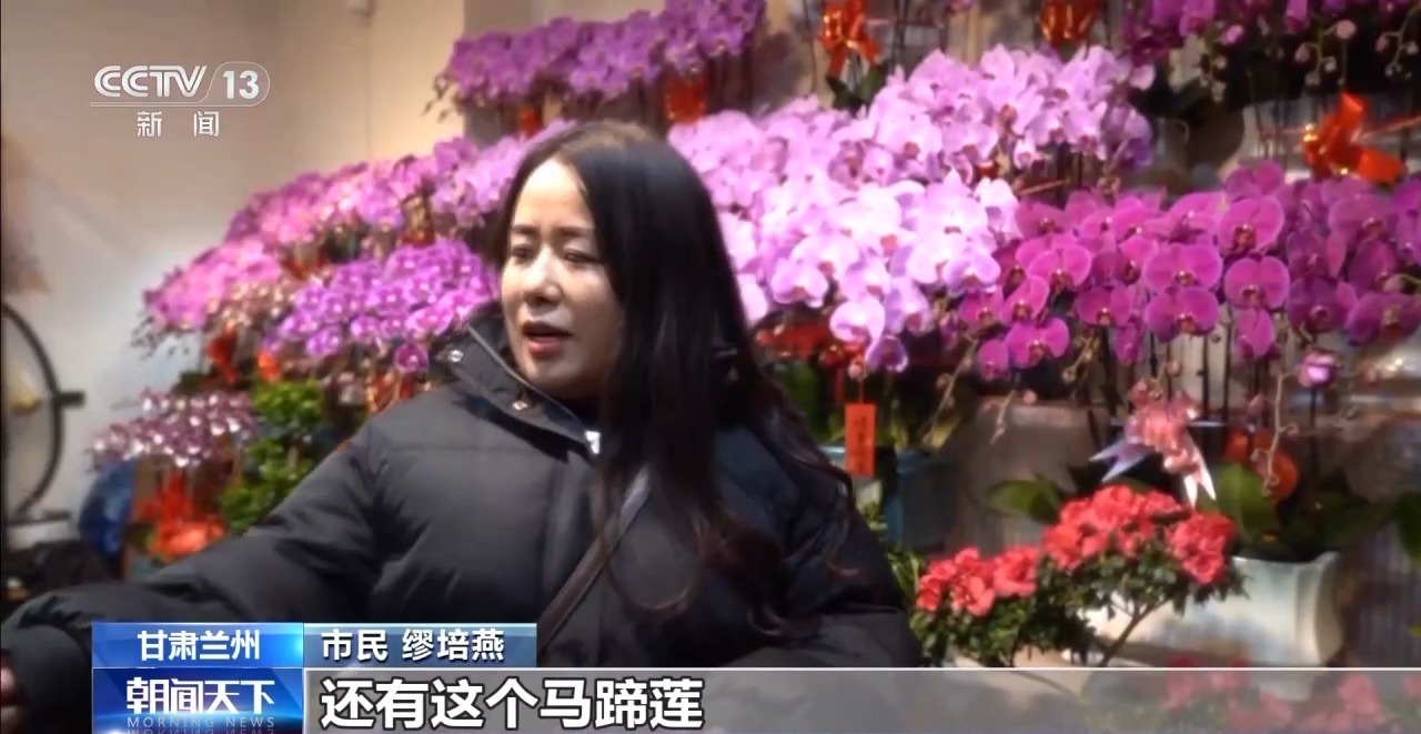 视频丨“马”上迎新 甘肃兰州年宵花迎来销售旺季
