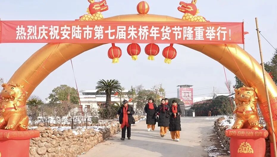 今天这里人山人海！ 安陆朱桥大集年味拉满