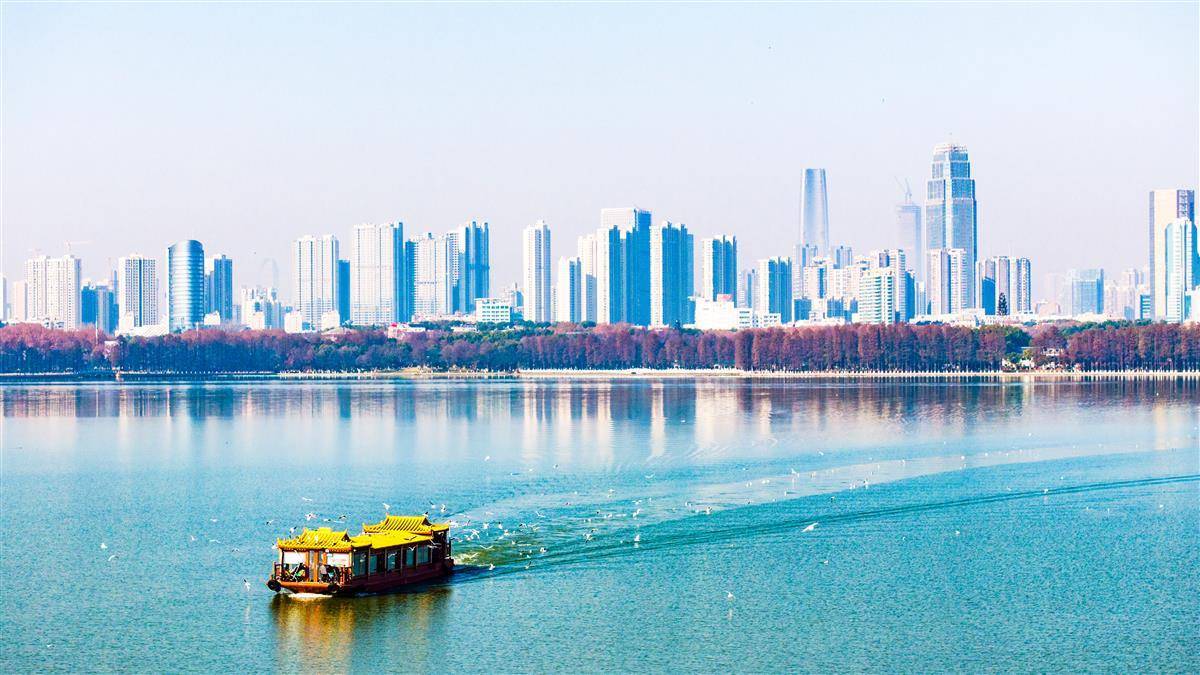  浪漫至极！武汉东湖红嘴鸥迎来数量高峰！
