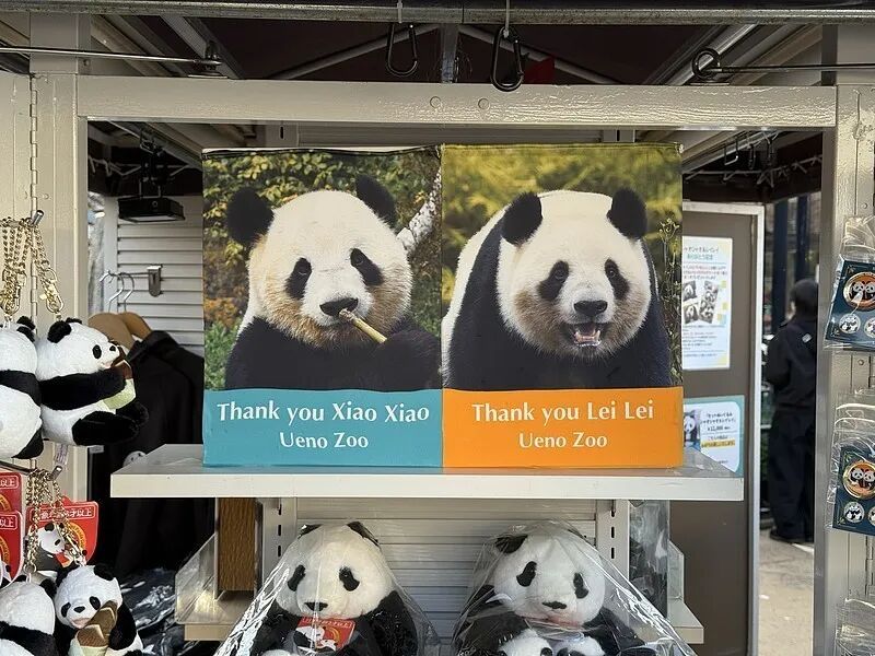 “晓晓”“蕾蕾”,到家了!