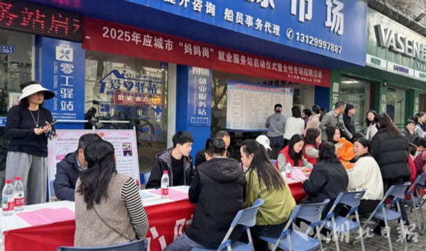  应城市妇联一案例入选湖北省“执委进万家”案例选编
