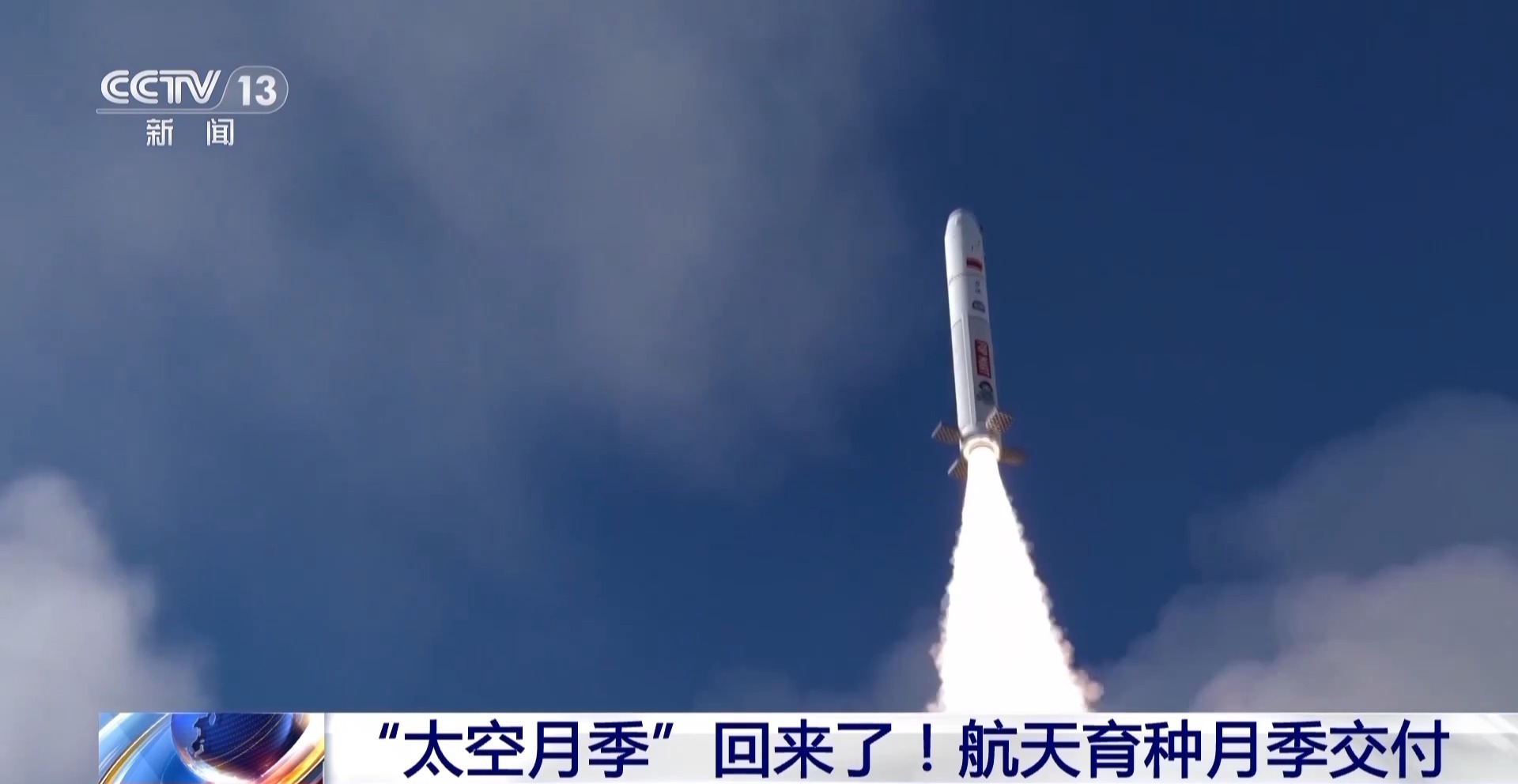 视频丨“太空月季”回来了！首批航天诱变月季种子交付南阳