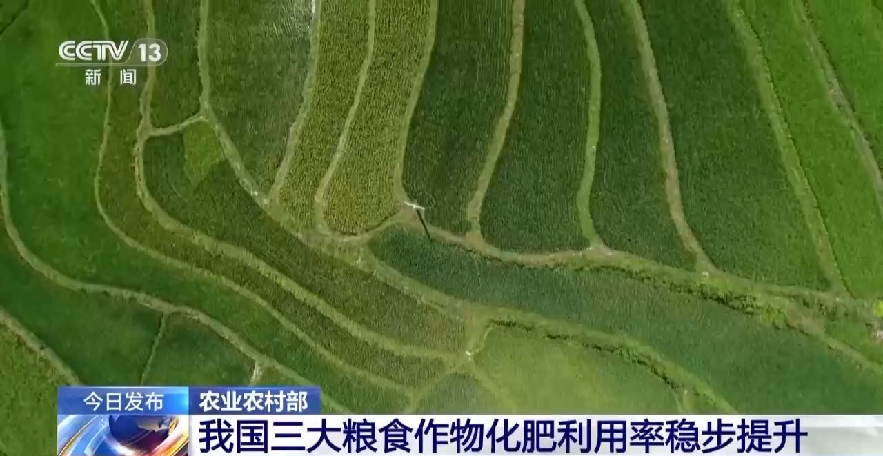 视频丨居国际中上水平 去年我国三大粮食作物化肥利用率达43.3%