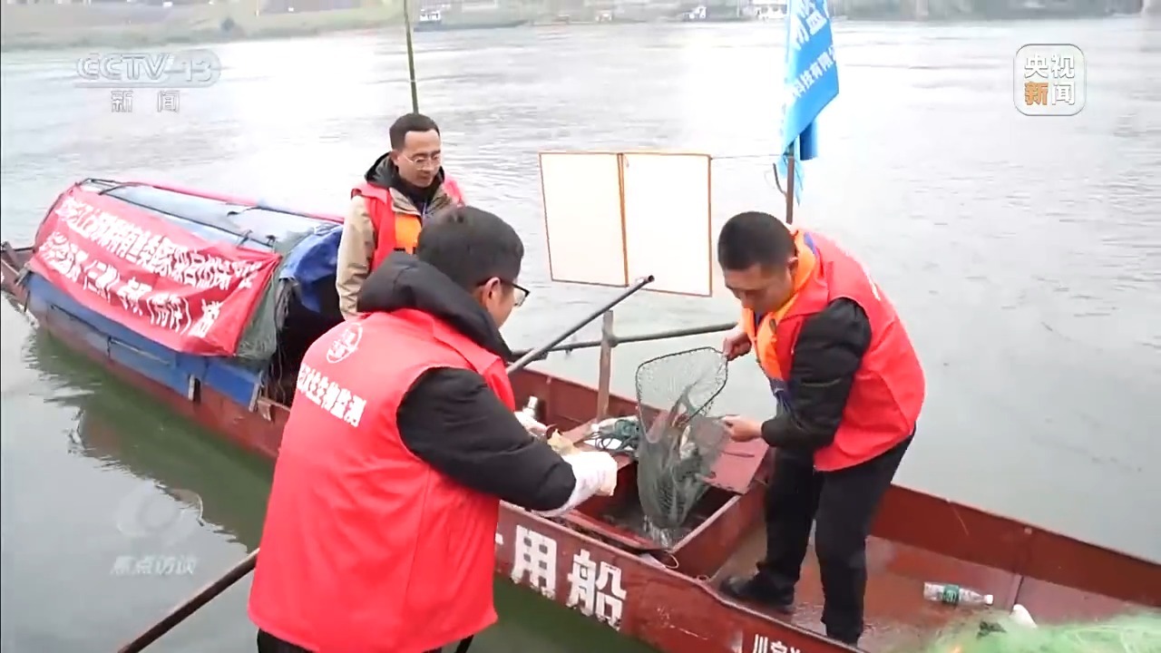 焦点访谈丨新时代长江之歌：10年守护见证绿蝶蜕