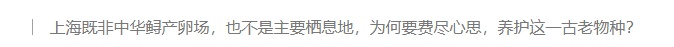 在长江“终点”守望生命“起点”：上海与一尾鲟的“生态之约”
