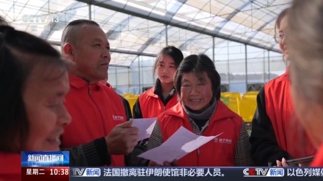  视频丨无人机植保+数字化管控 “00后种菜班”让智慧种菜成为田间日常