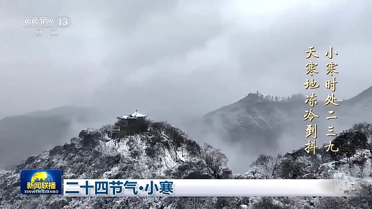 文化中国行丨二十四节气·小寒 梅绽小寒枝头 大雁渐次北归