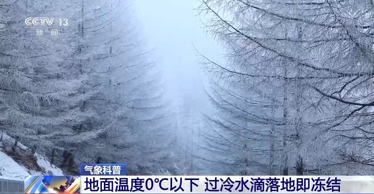 视频丨寒潮南下冻雨来袭！关于冻雨 你需要知道这些