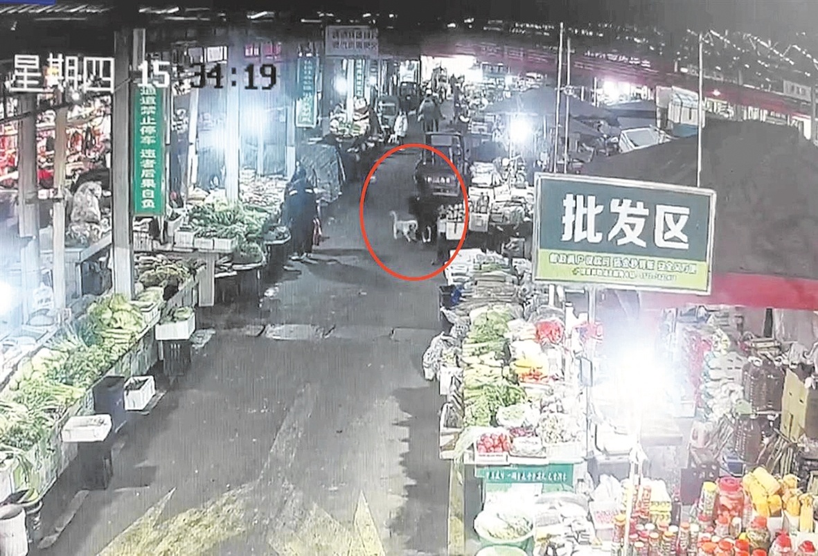  新治安管理处罚法施行首日 保康警方查处首例犬只伤人案
