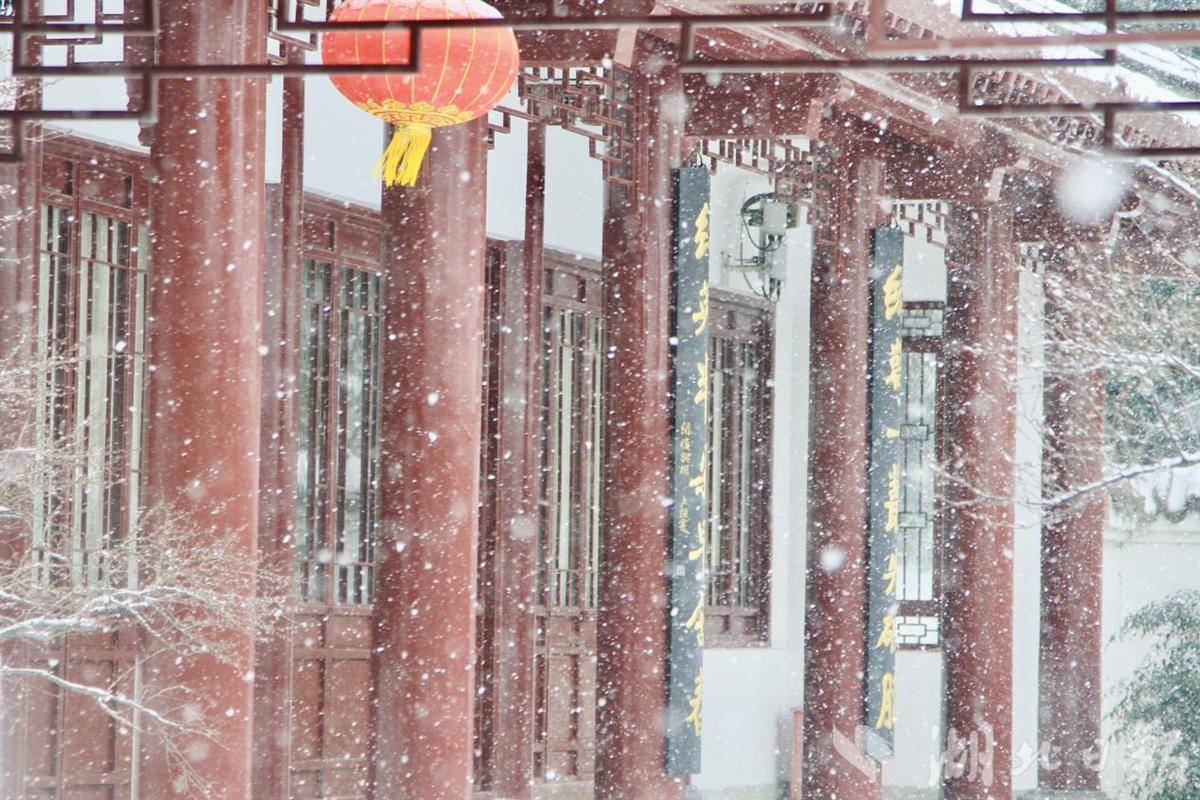 东湖梅花枝头俏 大雪里的“中式美学”尽显诗意