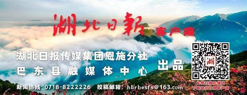  巴东：两岸红梅映寒江