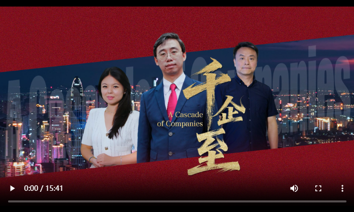 讲述投资海南自贸港的故事 《千企至》正式上线