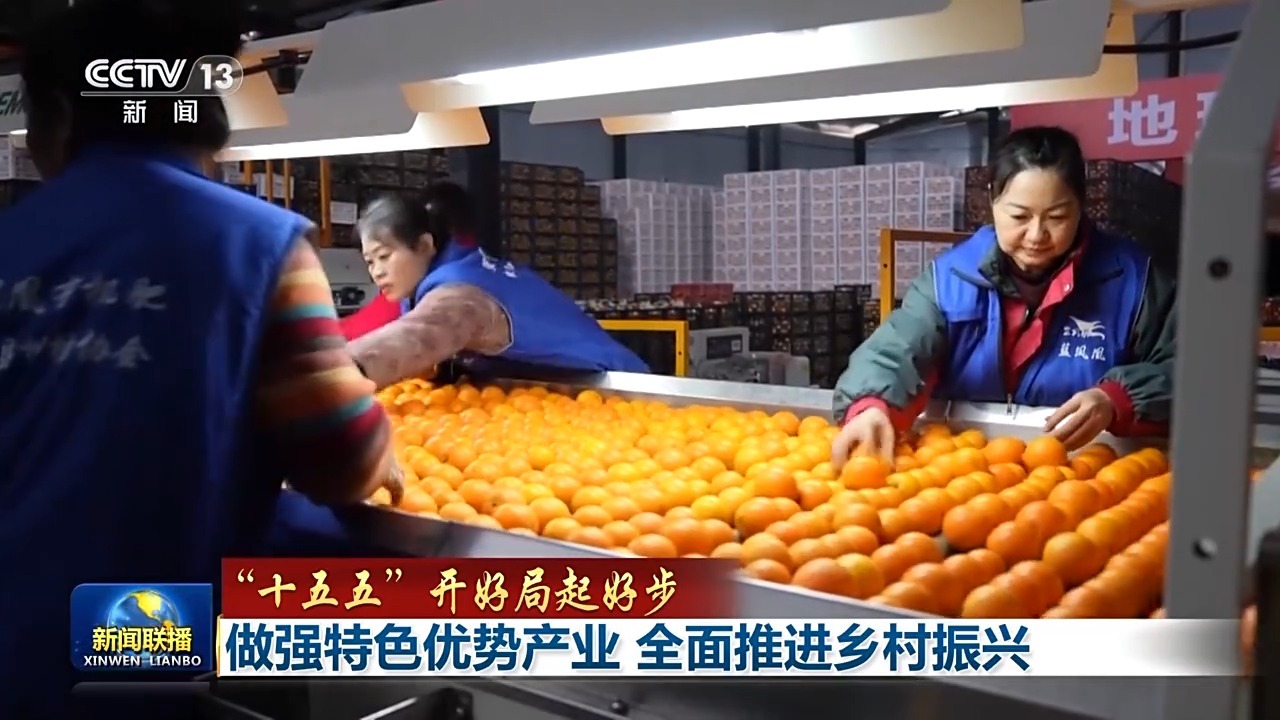  “十五五”开好局起好步丨做强特色优势产业 全面推进乡村振兴