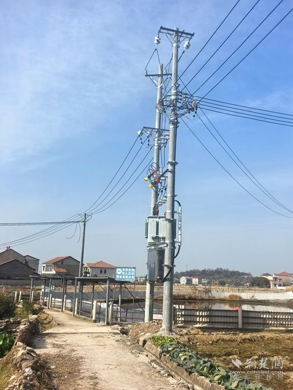  鄂州梁子湖供电无惧山高路险，绝缘杆巧解低电压难题