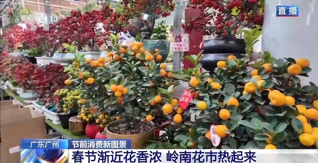 视频丨“花”样拉满！逛岭南花市 线上线下都有安排