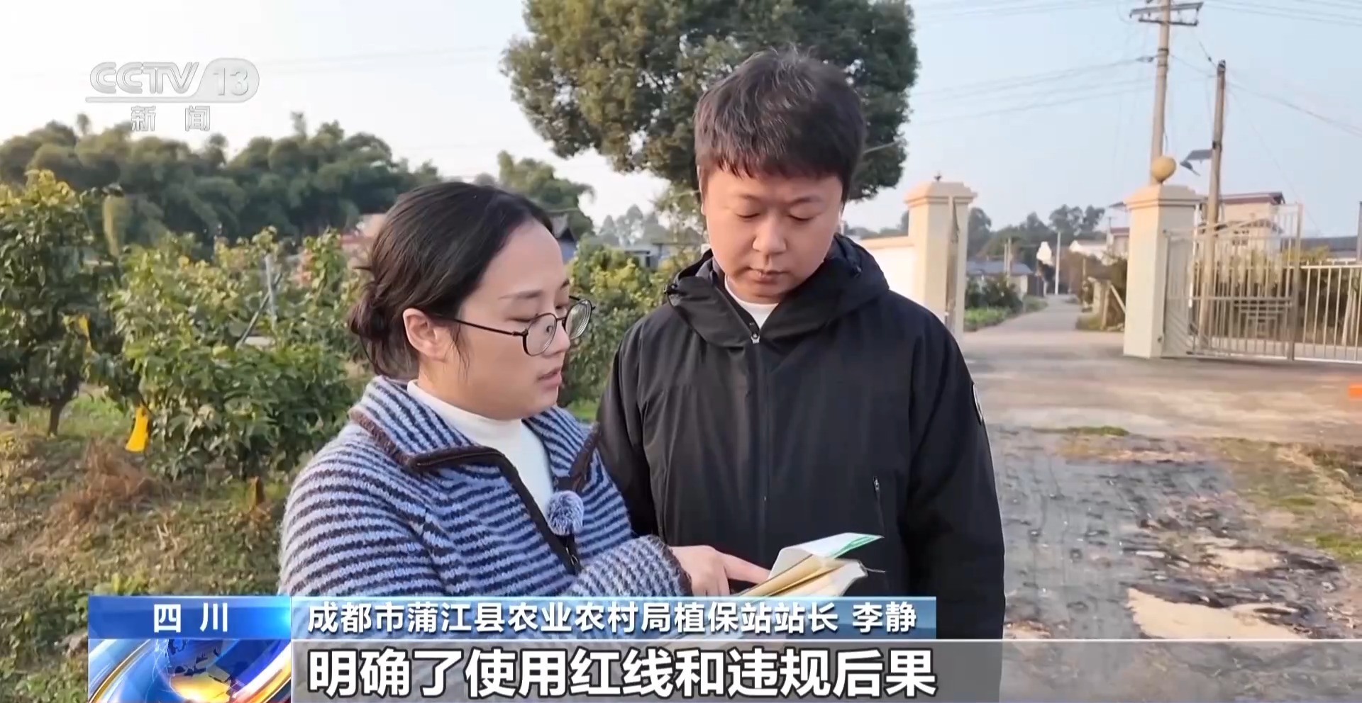 视频丨农产品踏上“碳足迹” 这个新标尺让柑橘“甜”上加“值”