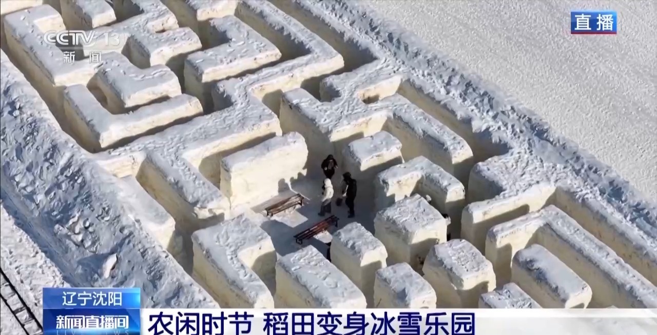 视频丨稻田变身冰雪乐园 多种趣味玩法邀你驰骋雪场