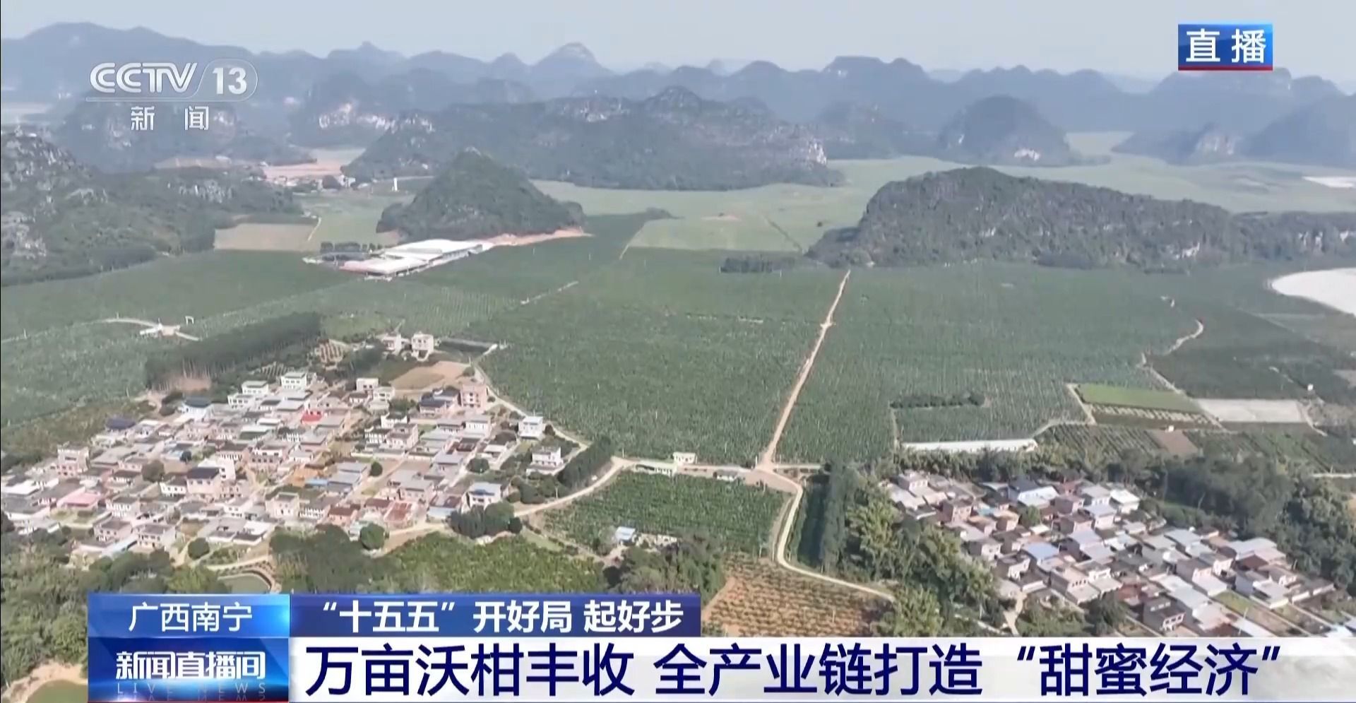  “十五五”开好局 起好步丨小果子撬动大产业 万亩沃柑迎丰收