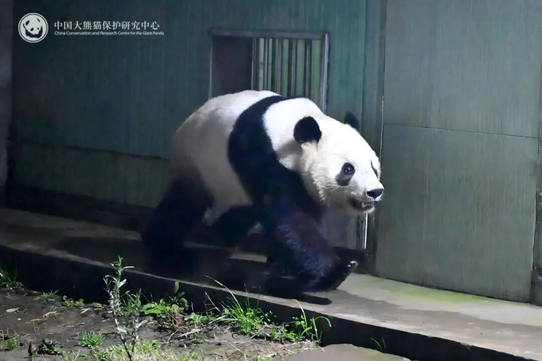  “晓晓”“蕾蕾”，到家了！