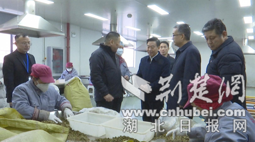 荆门市人大常委会调研组走访调研钟祥市大健康产业链相关企业