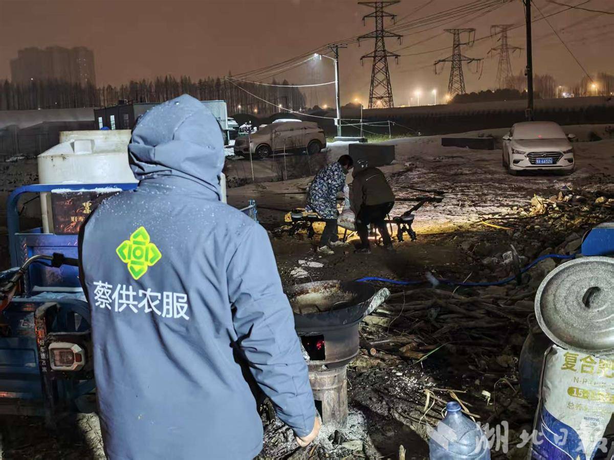无人机空中吹雪、撒盐水！武汉市郊蔬菜大棚紧急除冰雪
