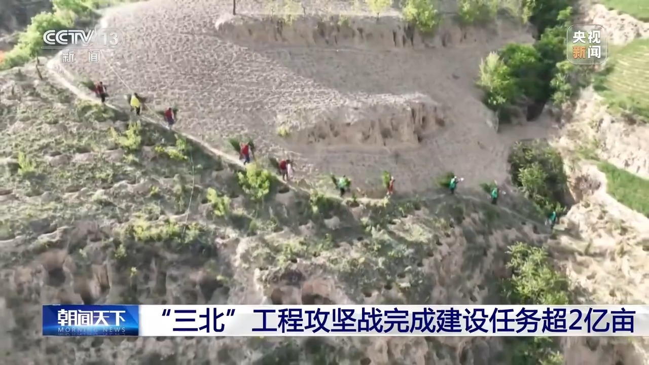 视频丨“三北”工程攻坚战完成建设任务超2亿亩