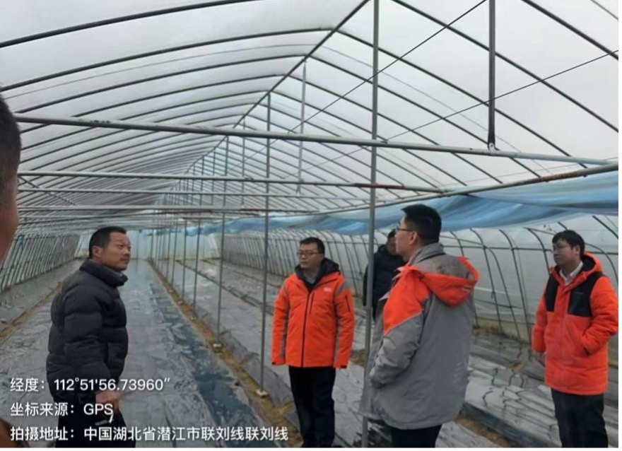  平安产险湖北分公司潜江中支跑出农险服务“加速度”，“防、减、救、赔”解农忧