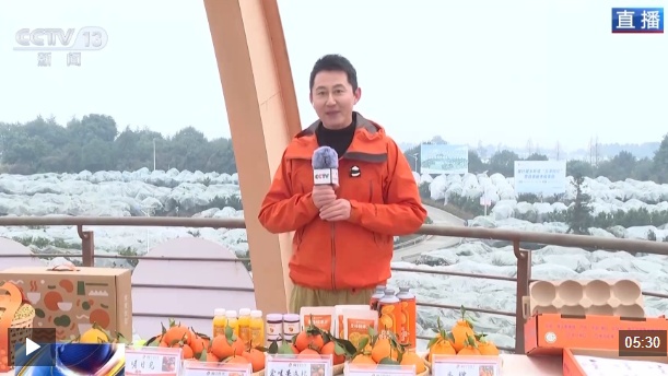  视频丨农产品踏上“碳足迹” 这个新标尺让柑橘“甜”上加“值”