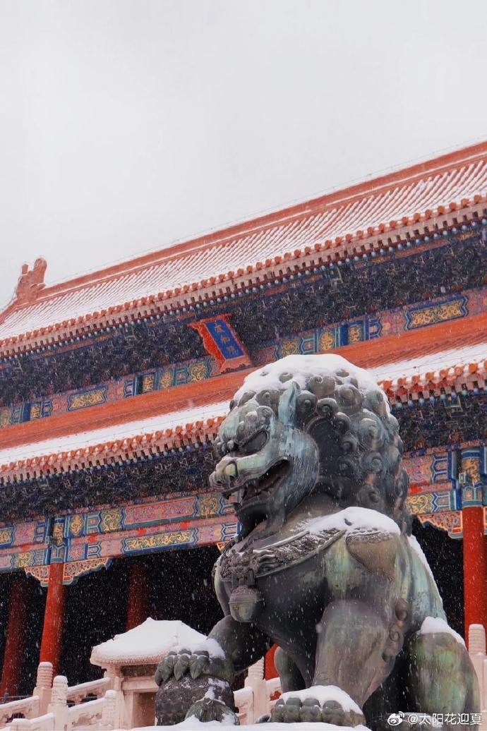 2026年北京的首场雪有多美？一起来“云赏雪”