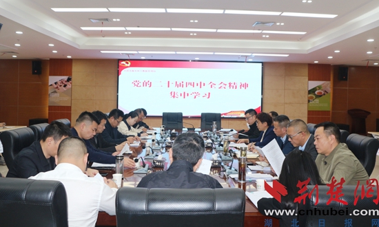 大冶“周五学习日”让全会精神从会议室延伸到“实战场”
