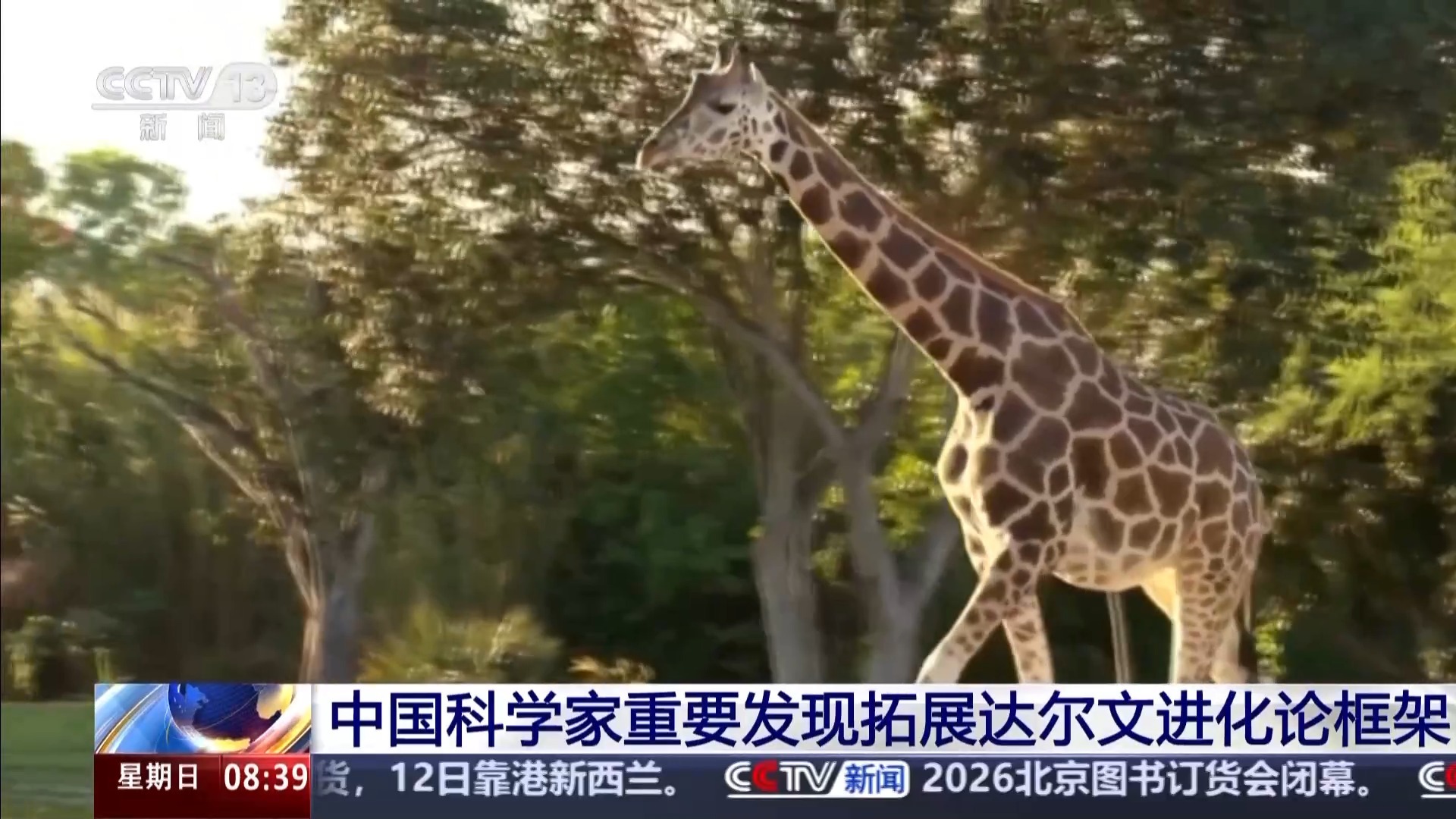 视频丨中国科学家重要发现拓展达尔文进化论框架
