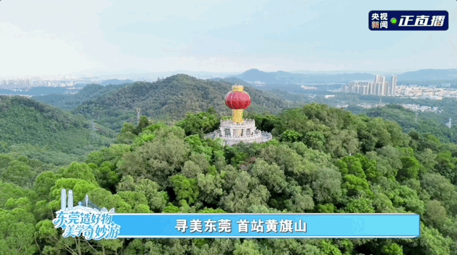 撒贝宁东莞行，被制造美学“种草”了！每样都想带回家