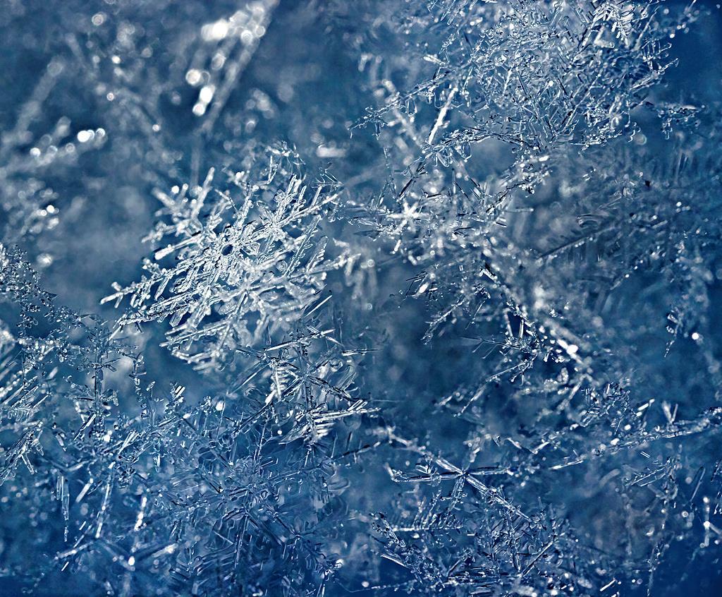 冷知识：为何没有两片完全相同的雪花？