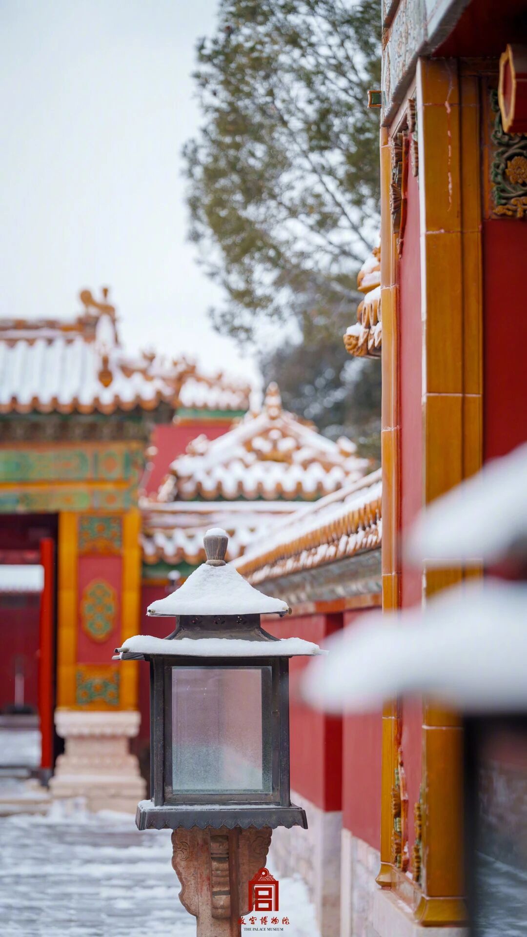 故宫最新雪景图，来了！
