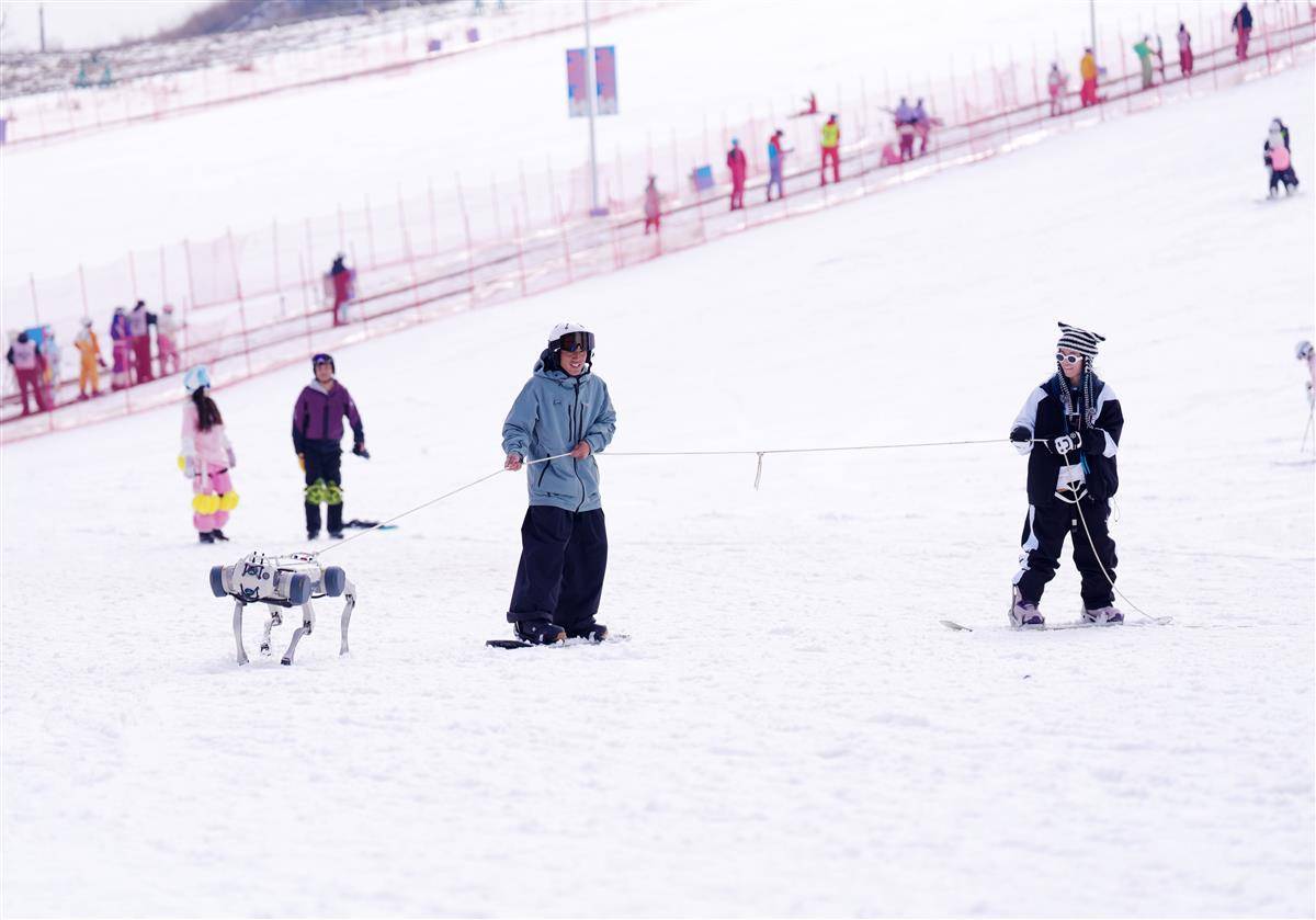 机器狗上岗 开启“冰雪+”新篇章