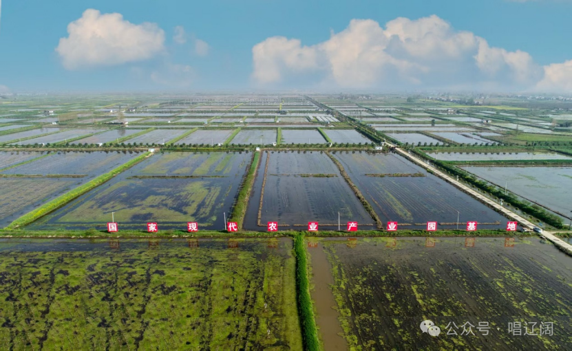 640?wx_fmt=png&from=appmsg&wxfrom=5&wx_lazy=1&watermark=1&#imgIn