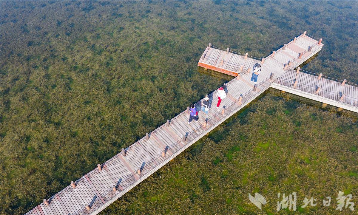 武汉竹叶海上榜幸福河湖