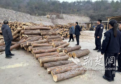 荆门市漳河新区“自然资源+公安”联合行动 严打疫木违法犯罪护森林