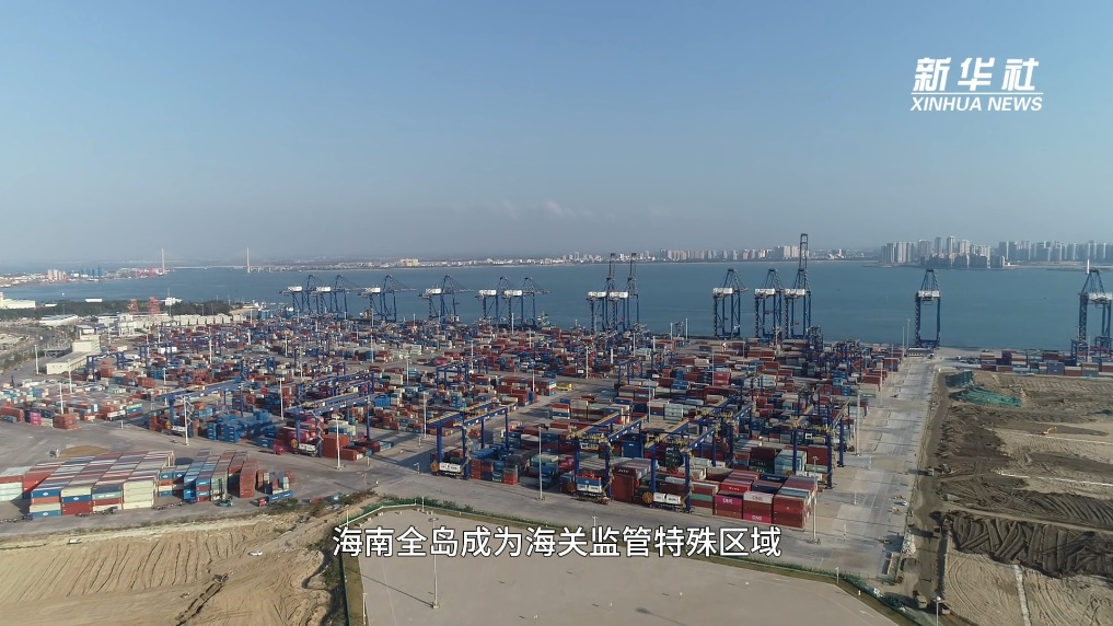  海南自贸港封关运作“满月”：洋浦看通关、订单与港航新变化