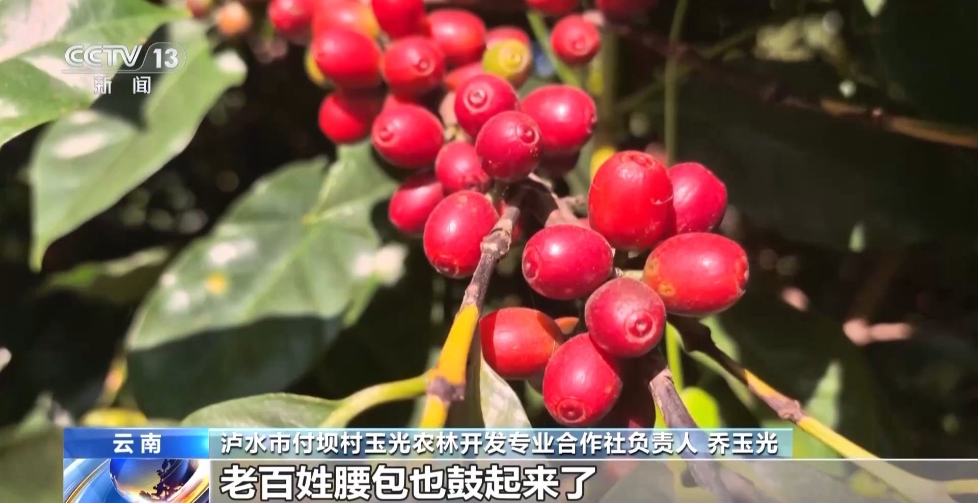 上政新闻网