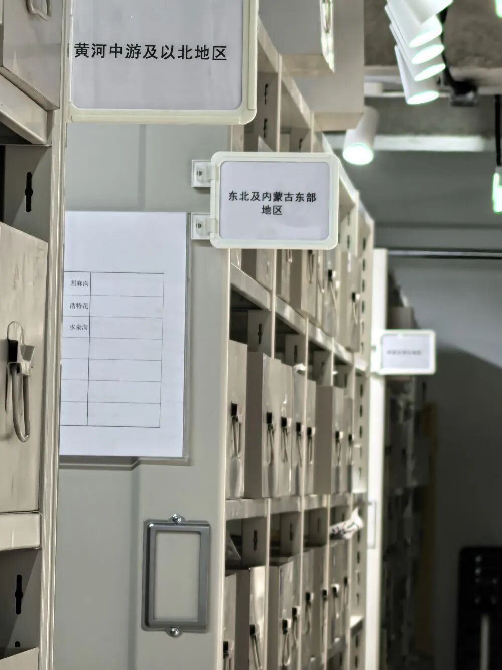  国内唯一唐代鎏金铜甲被复原！6项重大成果发布→