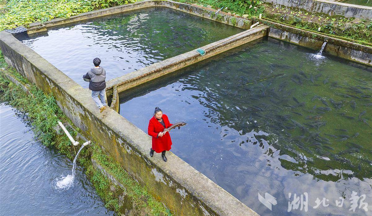 水产“女汉子”刘永珍：曾经的污染者，现在的环保农民