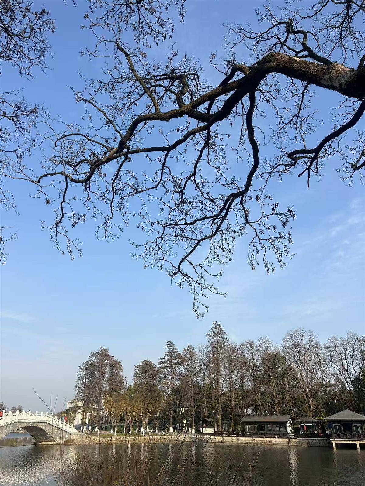 今明两天武汉晴到多云，后天开始气温连续降