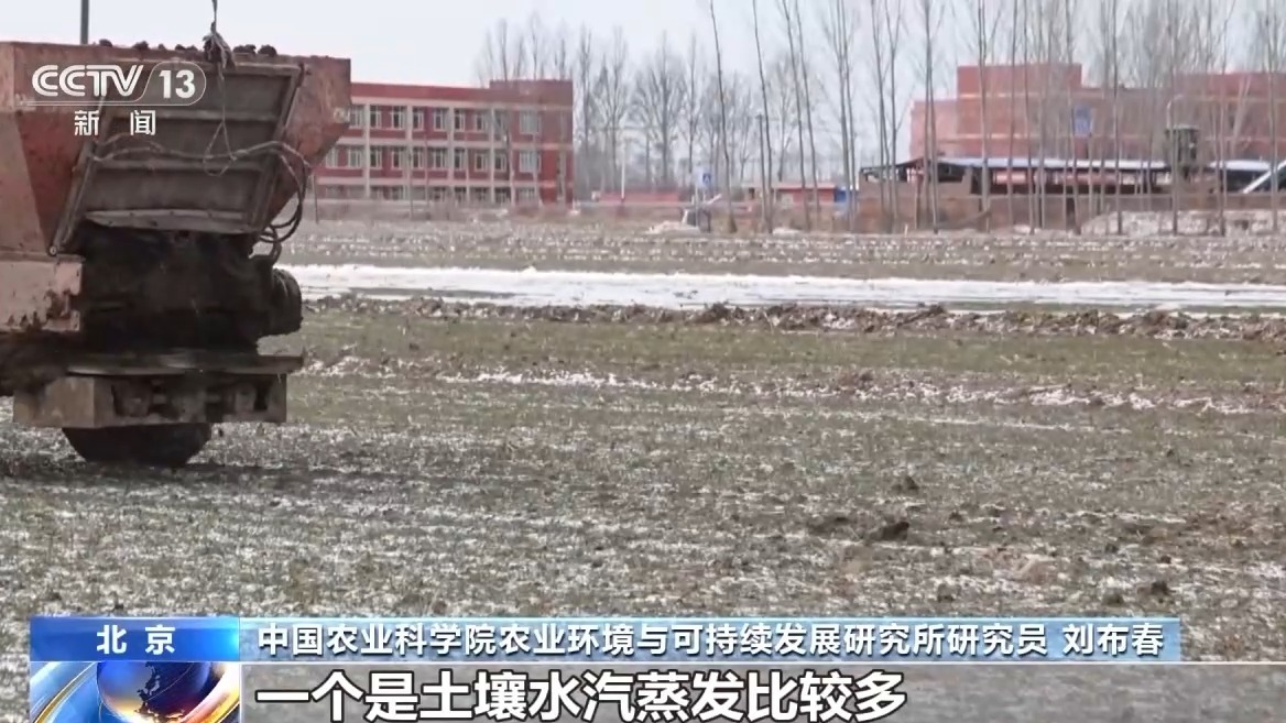 视频丨寒潮来袭，农业生产这些防护措施不能少