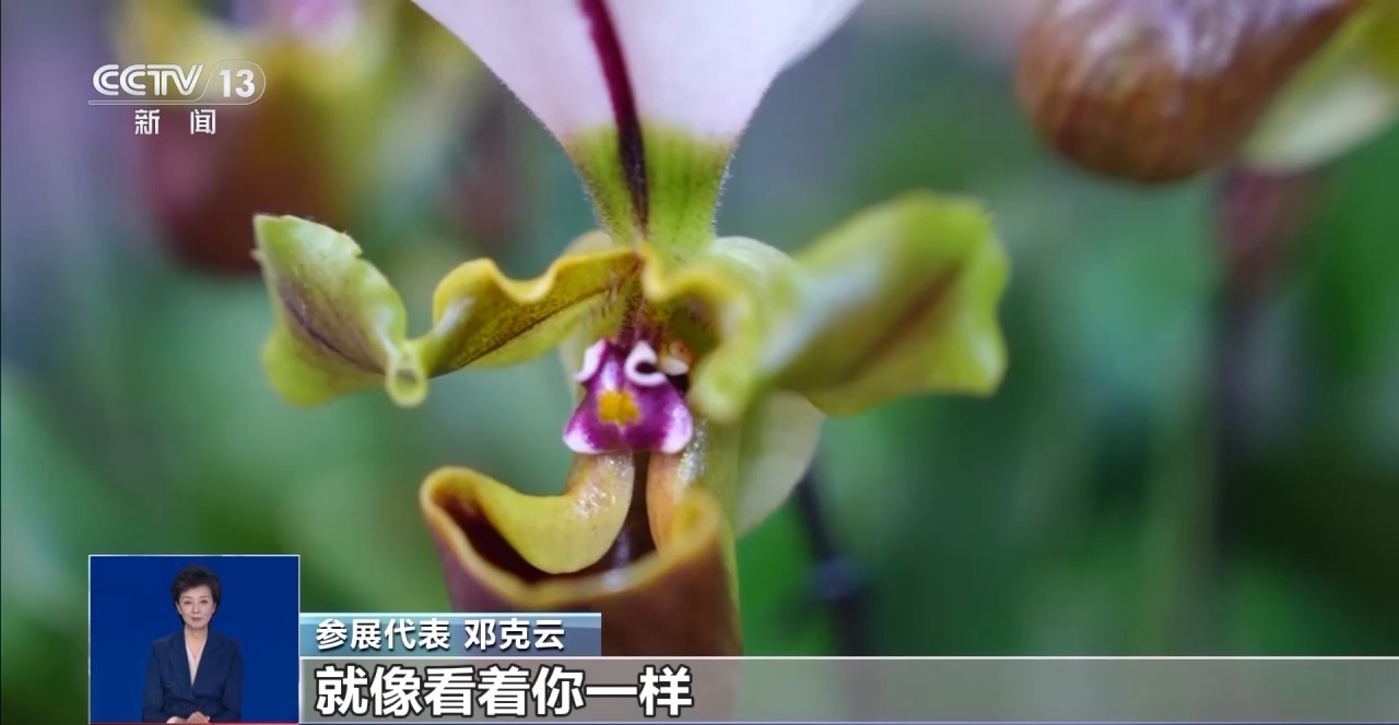 方城县新闻网消息