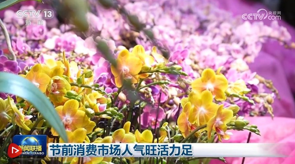 节前消费市场人气旺活力足