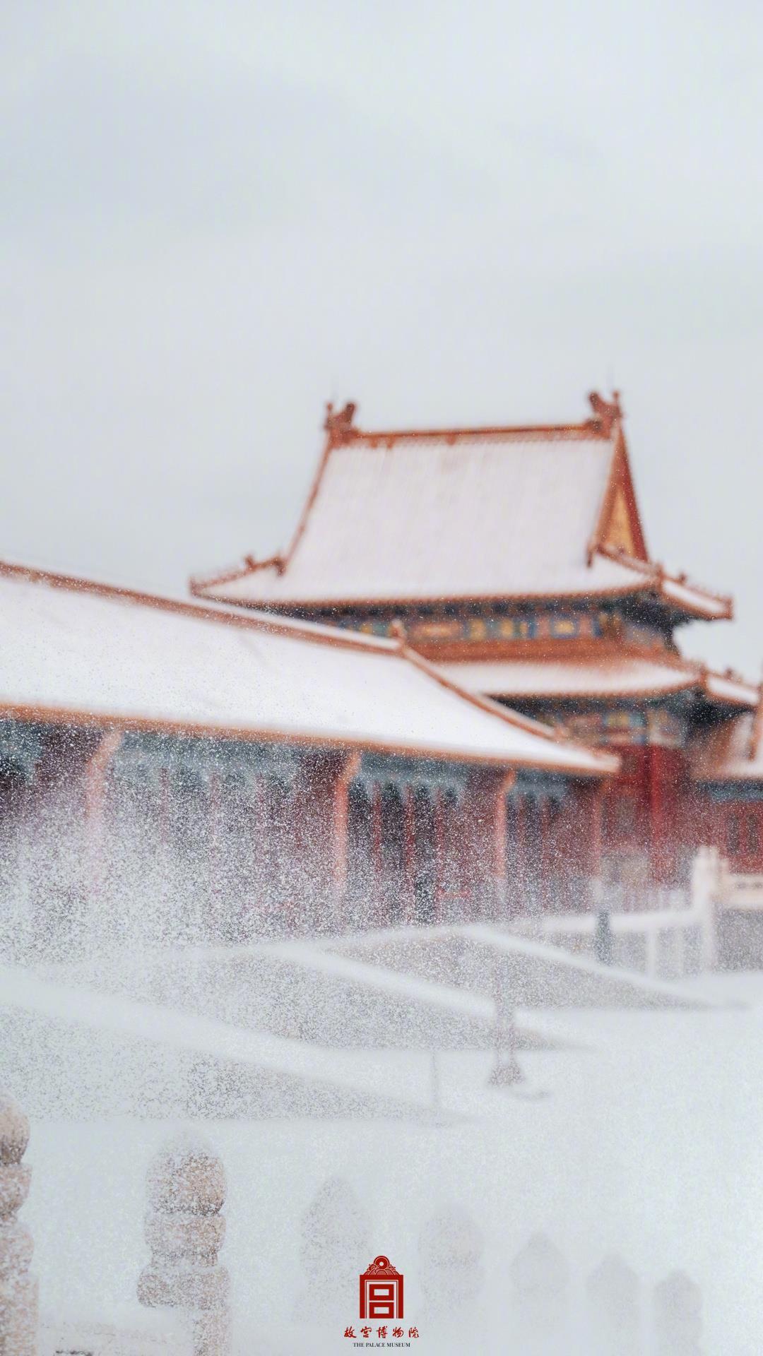  故宫雪景上新！来看鹅毛大雪里的金瓦红墙
