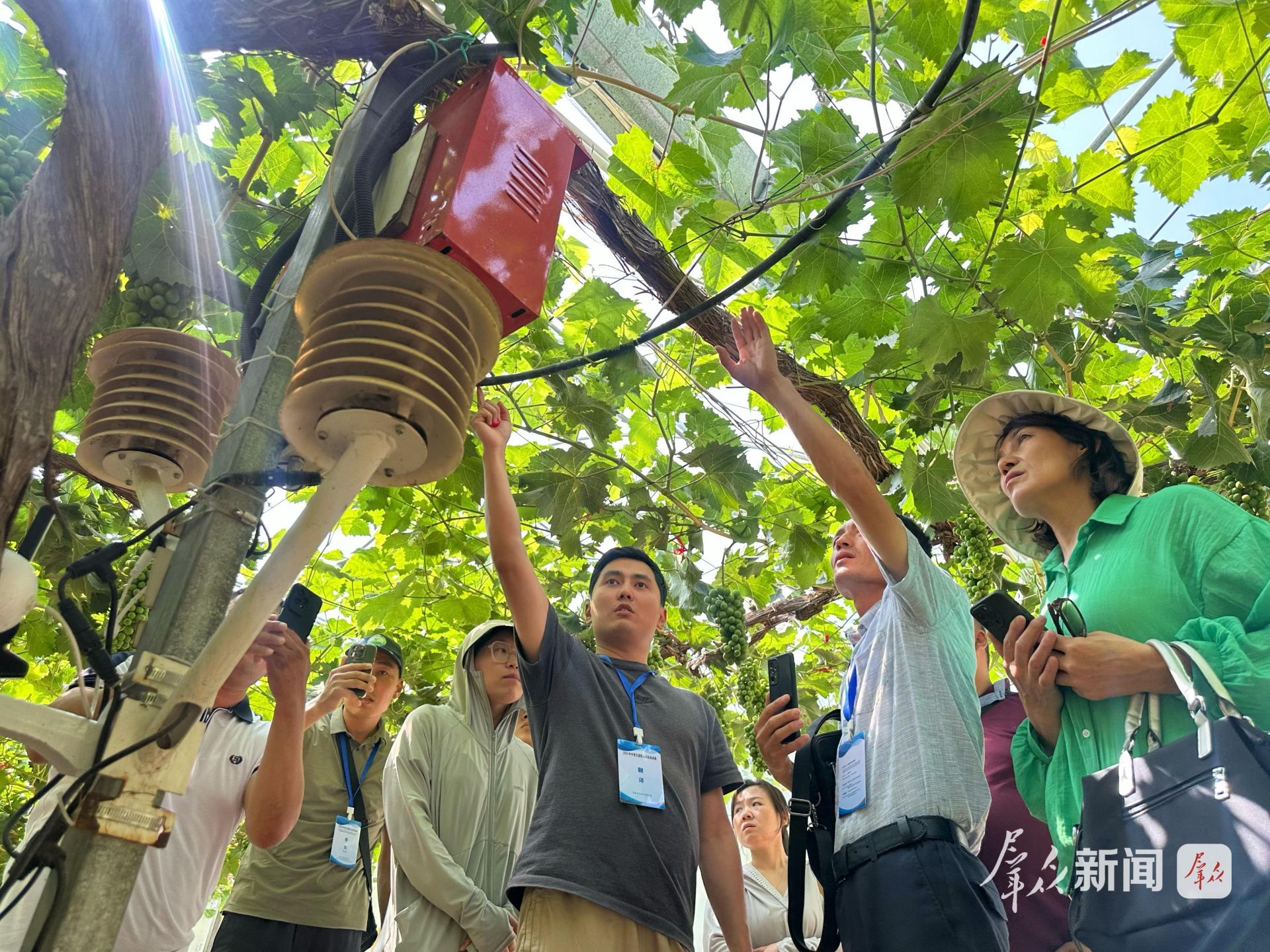 “让更多中国农业技术在中亚开花结果”